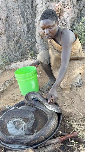 Chaabaa cooking python meat today guys