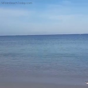 8.8K views · 530 reactions | Start your day off with 10 seconds on St.Pete Beach! You can also watch it live at www.stpetebeachtoday.com/live-cam Live cam: www.stpetebeachtoday.com/live-cam Twitter: @StPeteBeachFL Insta: @saintpetebeach | St.Pete Beach, Florida | Facebook