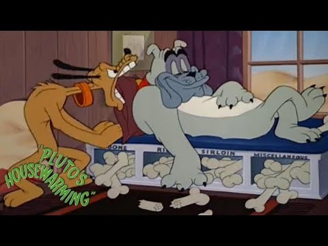 Pluto's Housewarming 1947 Disney Cartoon Short Film | Review and Recap