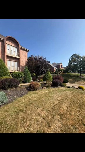 Shrub trimming/ Weeding/ Edging in Peter’s! | A&F Landscaping LLC
