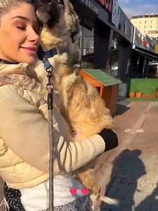 414K views · 10K reactions | A woman saved a poor dog abandoned by its owner #rescue #rescuedog #dog #dogsoftiktok #puppy #animals #animalsoftiktok #animalrescue | Masokapowerproducts | Facebook