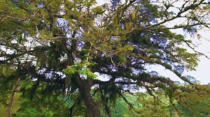 32 reactions · 19 shares | Coming back to a different T&T means...