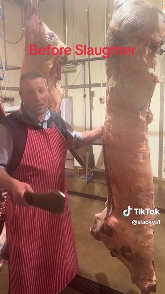 Beef Hanging & Aging: Master Butcher Explains