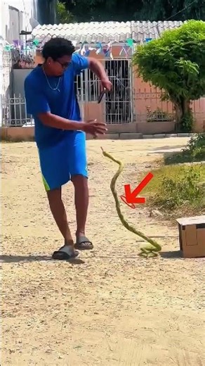 Viral Funny Moments That Broke the Internet 📈😂 #funny #laughchallenge