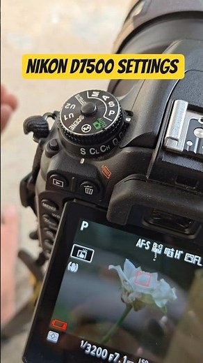 Nikon D7500 settings | Nikon D7500 photography #nikond7500