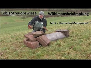 Wühlmausbekämpfung Teil 2 - Mauswiesel/Hermelin