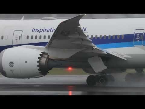 雨の日の伊丹スカイパークに行ってみた (2025/5/17・手振れ注意) #8k #飛行機 #airport