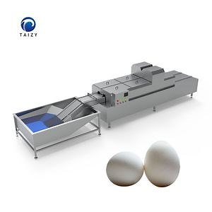 [Hot Item] High Efficiency Egg Cleaning Processing Line Chicken Eggs Washing Machine
