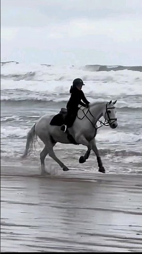 Look at the WAVES! 🌊 😲 My pony's FIRST time at the beach! ⛱️ #ponies #equestrian #horseriding