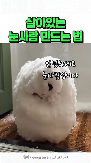 눈사람 만드는 법 아시는분?