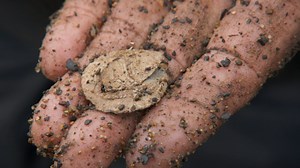 Gary Drayton and David Fornetti unearth two significant clues that put them one step closer to discovering the money pit - a trigger guard and an old lead bag seal. | The Curse of Oak Island