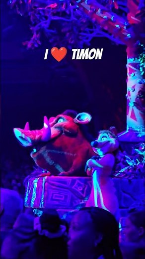 Lion King Timon Disney World