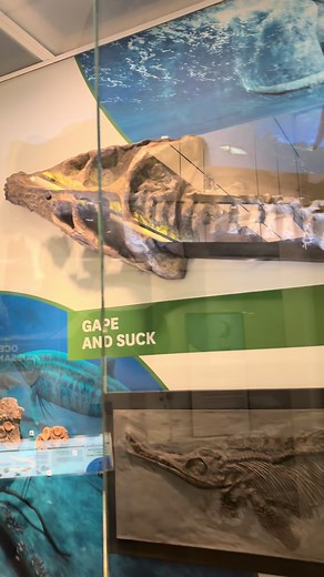 Magical Lioplurodon at Smithsonian
