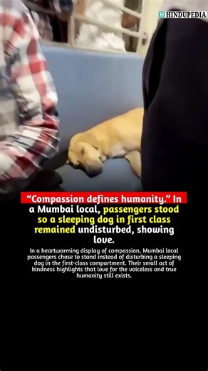 “Compassion defines humanity.” Passengers in Mumbai stood so a sleeping dog in first class stayed
