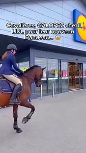 La meilleure façon d’écouter ta musique en balade 😍🎧🐎 #cavalier #cavaliere #cheval #equitation #équitation | MusiBand