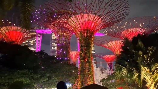 The Supertree light show, known as Garden Rhapsody, is a spectacular nightly music and light display at Singapore's Gardens by the Bay in the Supertree Grove.. #gardensbythebaysingapore #supertreegrove Part 6 | Marie Joy Daleng Tomas
