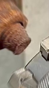 This is a universal socket wrench 🔥 #tool #wrench #universal #easytouse | Mitchtools