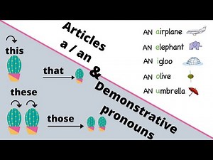 Clase 3: Articles a/an and Demonstrative pronouns this that these those + vocabulario