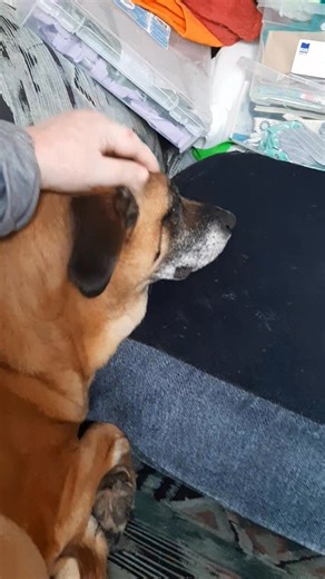 ☺️ | Cynthia Pulsifer