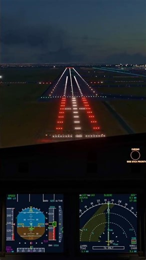 easyJet A320 Landing at Cairo HECA 🇪🇬 ToLiss X-Plane12 #aviation