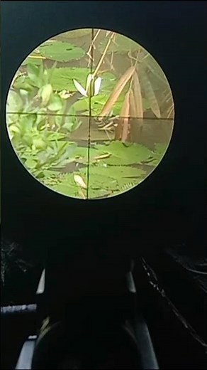 #6 How to Calibrate a Scope for Accurate Targeting