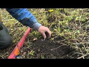 Bosnia demining efforts under threat