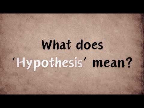What does Hypothesis mean?
