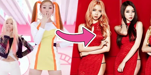The Heartbreaking Story Of Stellar And How They Were Used By Their Agency