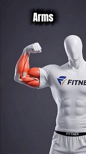 Arm Day💪🔥🔥 — 9 Exercises for Biceps, Triceps & Forearms #biceps #triceps #forarms #shorts