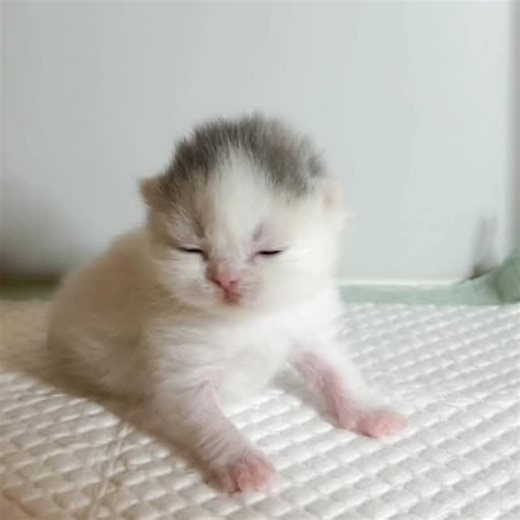 𝗙𝗱𝗽𝘁 memes | #memes #fyyyyyyyyyyyyyyyyyyyyyyyyyyyyyyyyyyyyyyyyyyyyyyyyyyyyyyyyyyyyyyyyyyyyyyyyyyyyyyyyyyyyyyyyyyyyyyyyy #explorar #memesbrasil #memesdaily | Instagram