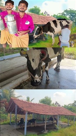Successful Dairy Farm formula | Family members started Cow farm | Siva Arun Tv