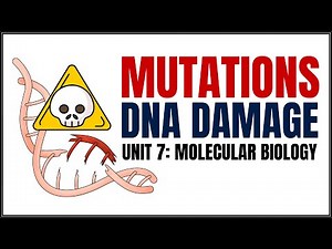Mutations & DNA Damage Explained | Types, Causes & Repair Mechanisms | Unit 7 | Molecular Biology