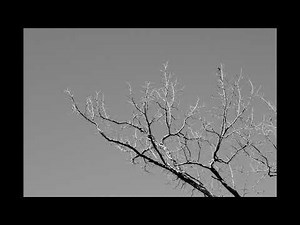 ACIM Lesson 12 - I am upset because I see a meaningless world.