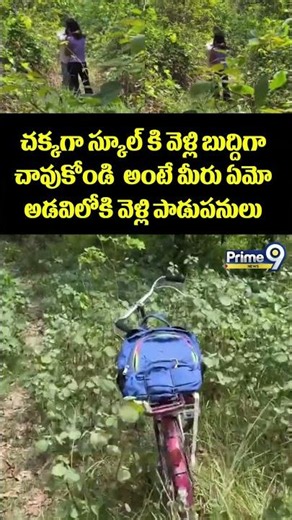 Students Viral Video : చక్కగా స్కూల్ కి వెళ్లి బుద్దిగా చావుకోండి అంటే మీరు ఏమో అడవిలోకి వెళ్లి