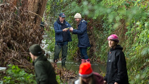 Ecology and Conservation BSc (Hons) at the University of Sussex