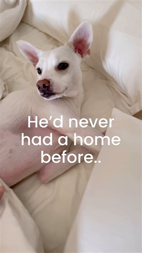 1.1M views · 160K reactions | A reminder that we call attention to...