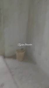 282K views · 10K reactions | Getting inside the pyramid of King Menkaura at Giza Complex for first time after its opening. #kyrllos_egyptourguide #shadow_of_pharaohs | Kyrllos Eskandar-Egypt Tourguide | Facebook