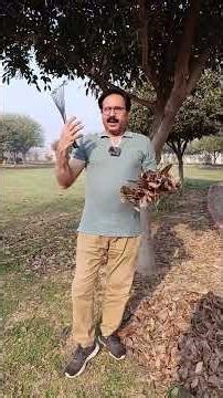 Make your own compost from dry leaves. #organicgardening #GardeningWithJavedIqbal