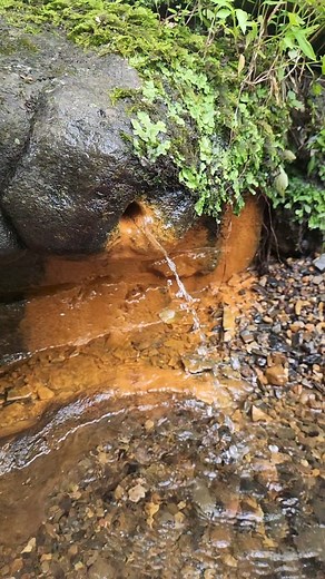 Natural spring flowing straight out of the center of a rock! Craziest thing! Rich in Iron. Looks like a monkeys butt. #ARAmbassadors #ouachitanationalforest #visitmena #Samsung #VisitArkansas #Arkansas #hikingadventures #history #spring #natural #Weird | Wanderlust & Arkansas Dust