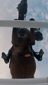 Du changement arrive chez Equisense, restez connectés 👀 | Equisense