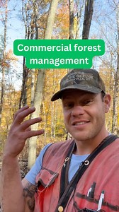 2.2K views · 24 reactions | What is “commercial forest management?”...