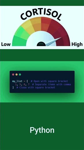 Coding in Python vs Coding in Assembly