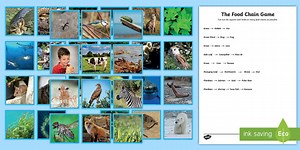 Food Chain Photo Sorting Cards