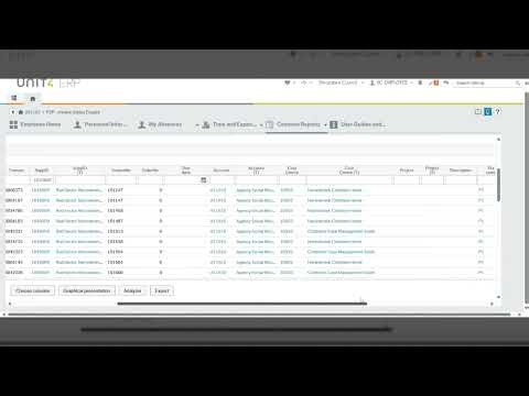 How to use the P2P Invoice Status Enquiry in the ERP