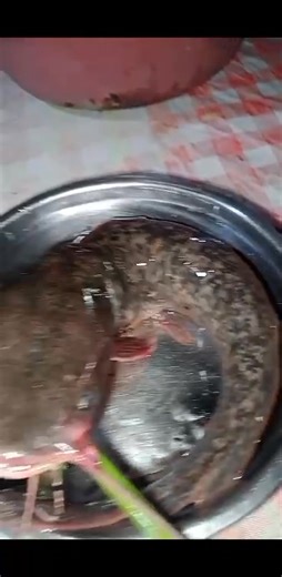 parang may swerte tayo ngayon #WaraynonVlogger | Richard hunter