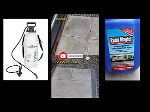 Patio Magic Algae and Mold Treatment #patiomagic #algae #diy #maintenance #garden #diy