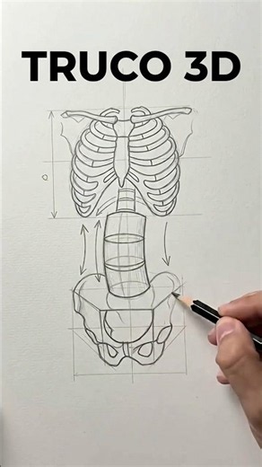 STEPS TO BUILD A 3D TORSO #anatomy