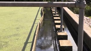 FAST PUMP REPLACEMENT SAVES THE DAY The wastewater plant at Wessex required 2 big wastewater pumps urgently. Within 4 working days, Grundfos fixed the problem with our timely delivery, saving huge costs. | Grundfos Engineering