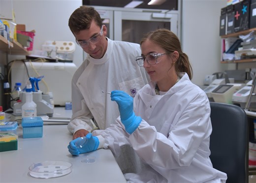 Calm before the (Cytokine) storm: adapting gold nanotech to help heart health