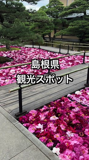 島根県の観光地まとめたよ #島根旅行 #島根観光 #島根グルメ #shimane #japantravel TTS: VOICEVOX:四国めたん